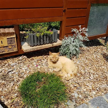 Apartment Dreibirken Rothenburg ob der Tauber