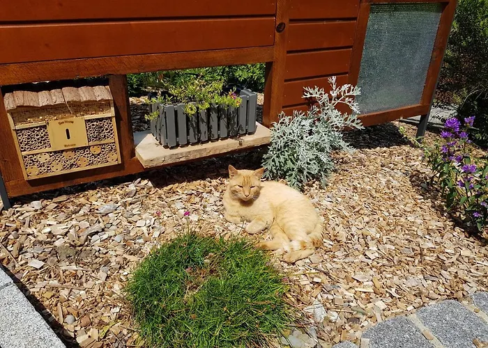 アパート Dreibirken ローテンブルク・オプ・デア・タウバー